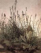 The Large Turf Albrecht Durer